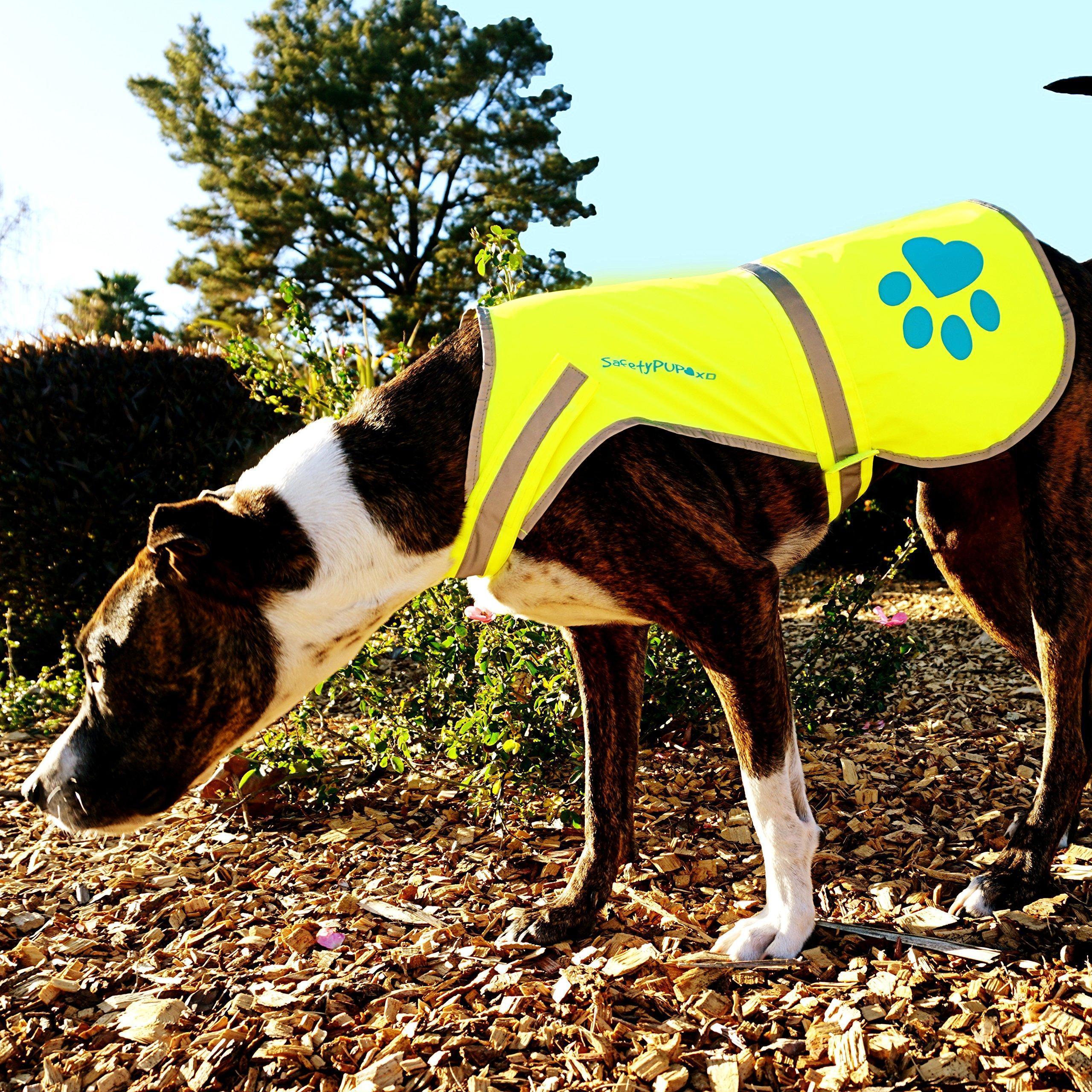 Dog Reflective Vest XS Size Yellow Hi Vis Safety Vest Keeps Dogs Visible on And
