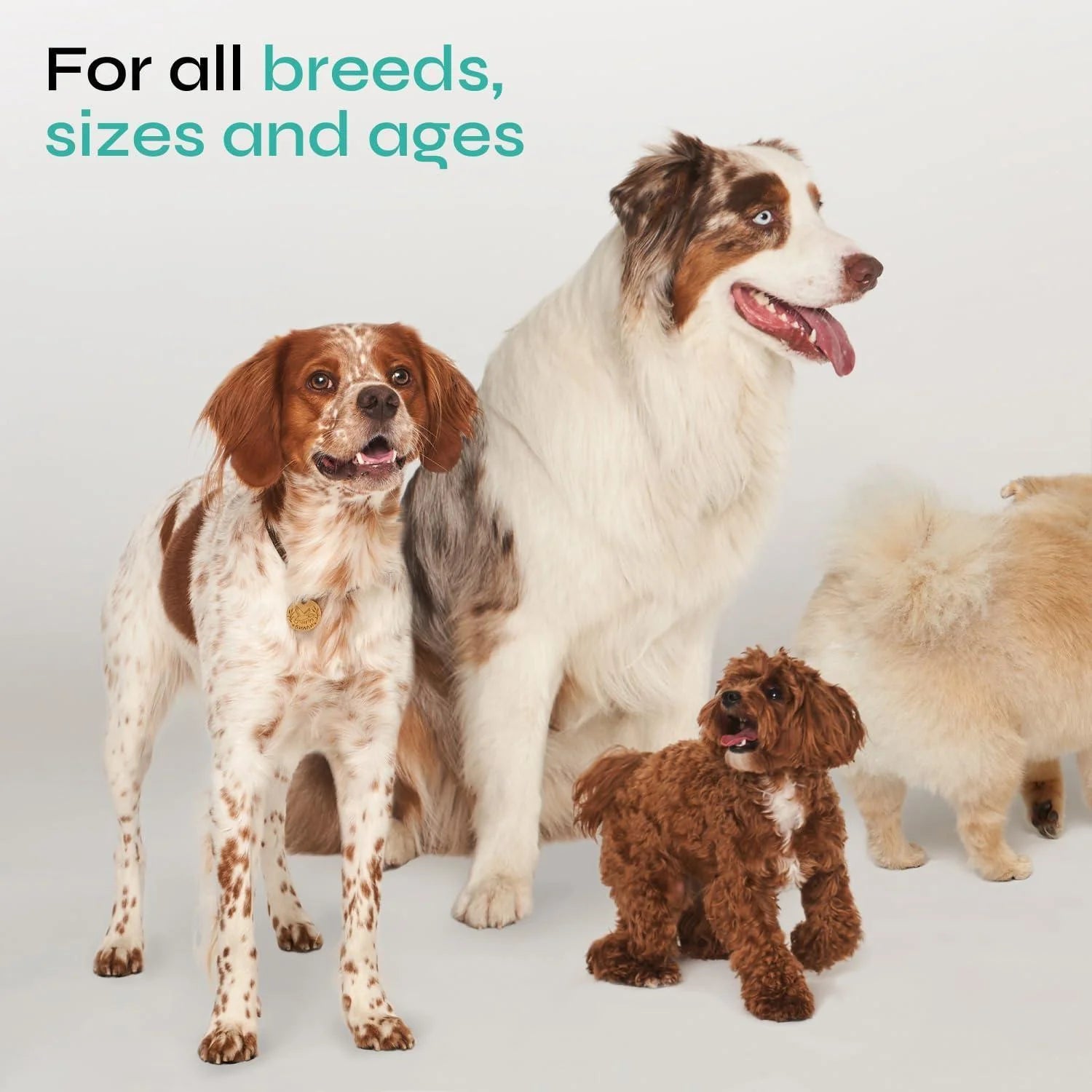 Calming Chews for Dogs Hemp Calming Chews for Dog Anxiety Relief Dog Calming Treats Anxiety Relief Dog Calming Treats for Stress Separation Storms & Anxiety Relief with Hemp Seed Oil