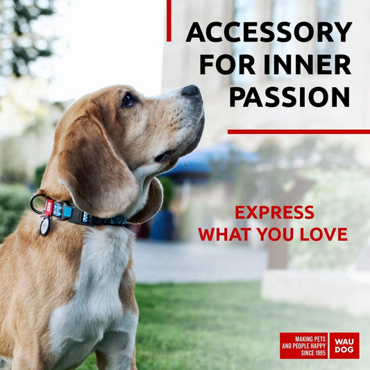 Nylon Dog Collar Adjustable Dog Collar for Large Dogs Small & Medium Dogs Breakaway Puppy Collars for Large Breed Dogs Boy & Girl Dog Collars with Durable Plastic Buckle and QR Dog Tag