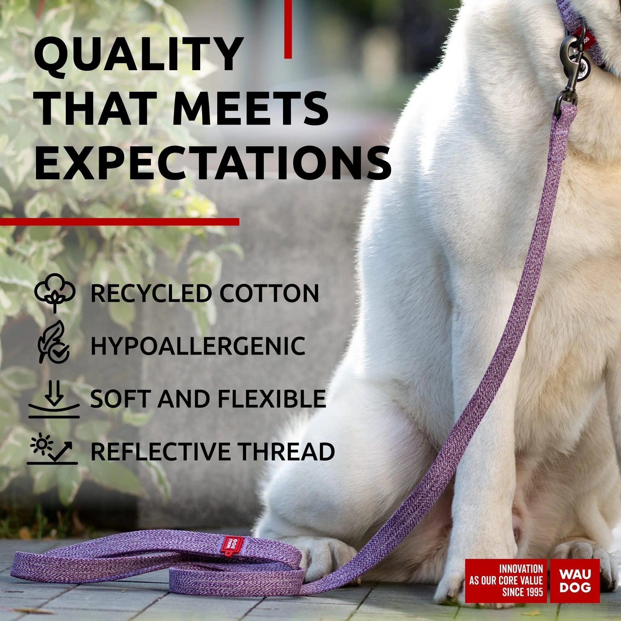 Recycled Cotton Dog Leash 6 Ft 10 Ft Eco Friendly Collar for Small Medium & Large Dogs Reflective Dog Leash for Medium Dogs Strong Leashes for Large Breed Dogs Puppy Leash for Small Dogs