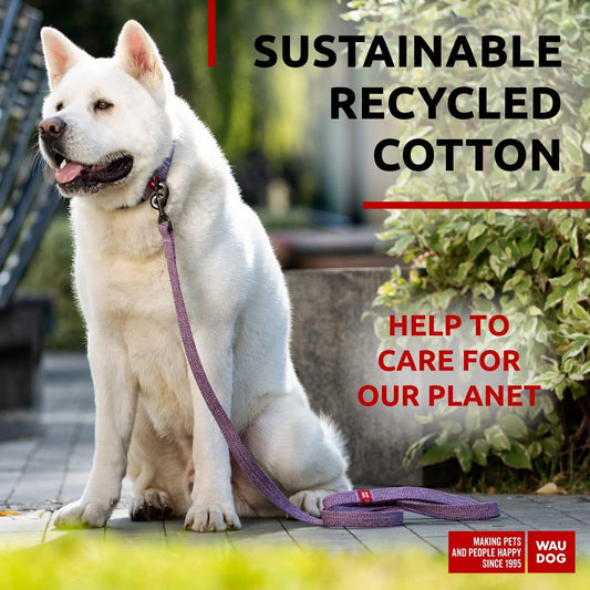 Recycled Cotton Dog Leash 6 Ft 10 Ft Eco Friendly Collar for Small Medium & Large Dogs Reflective Dog Leash for Medium Dogs Strong Leashes for Large Breed Dogs Puppy Leash for Small Dogs